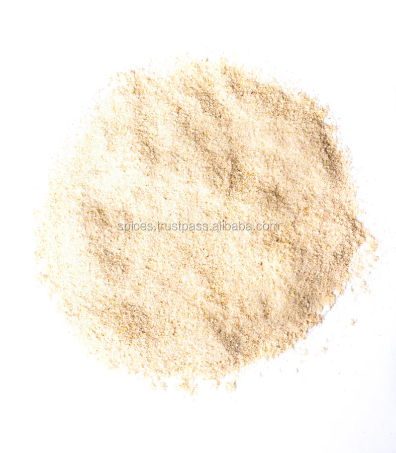Celery root powder (air dried) - Apium graveolens var. dulce