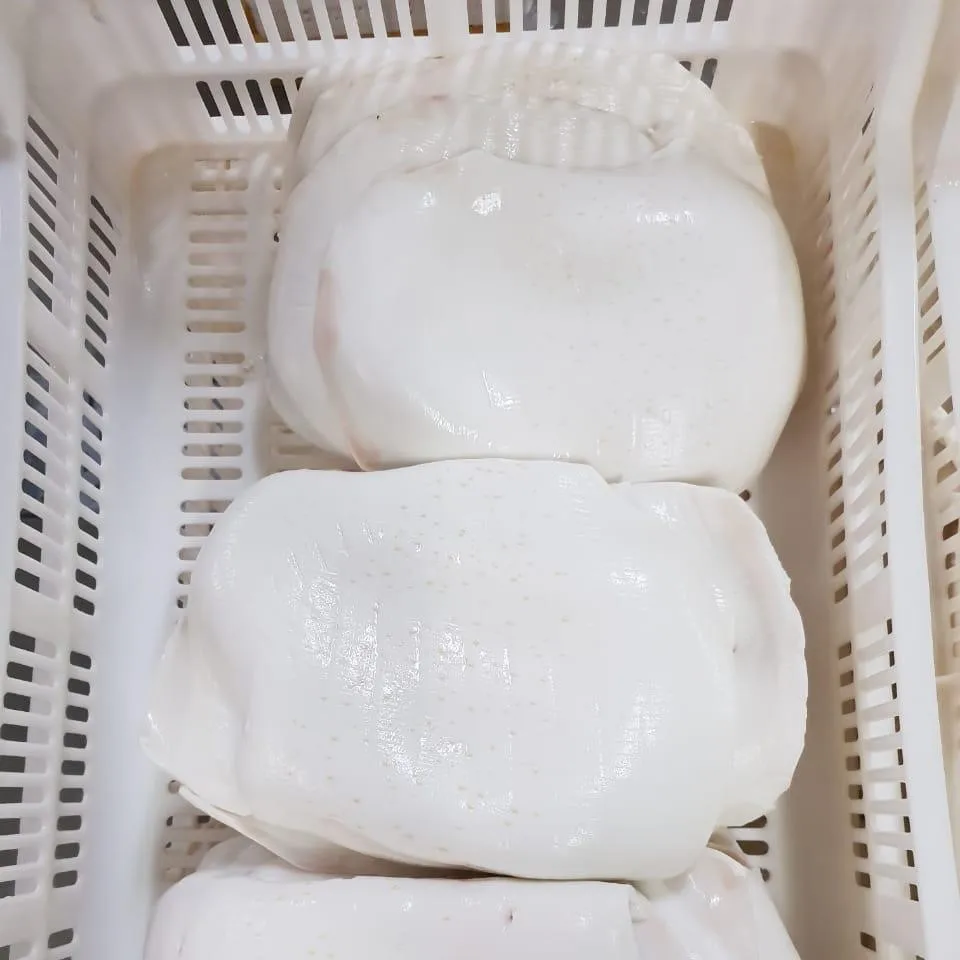 Гигантский кальмар кипяченые филе/Дарума (из Перу)