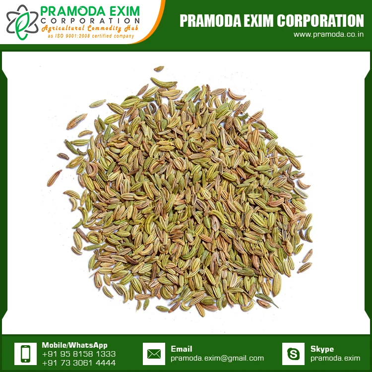 New Season Organic Fennel Seed Natural Fennel Single Spices & Herbs From India