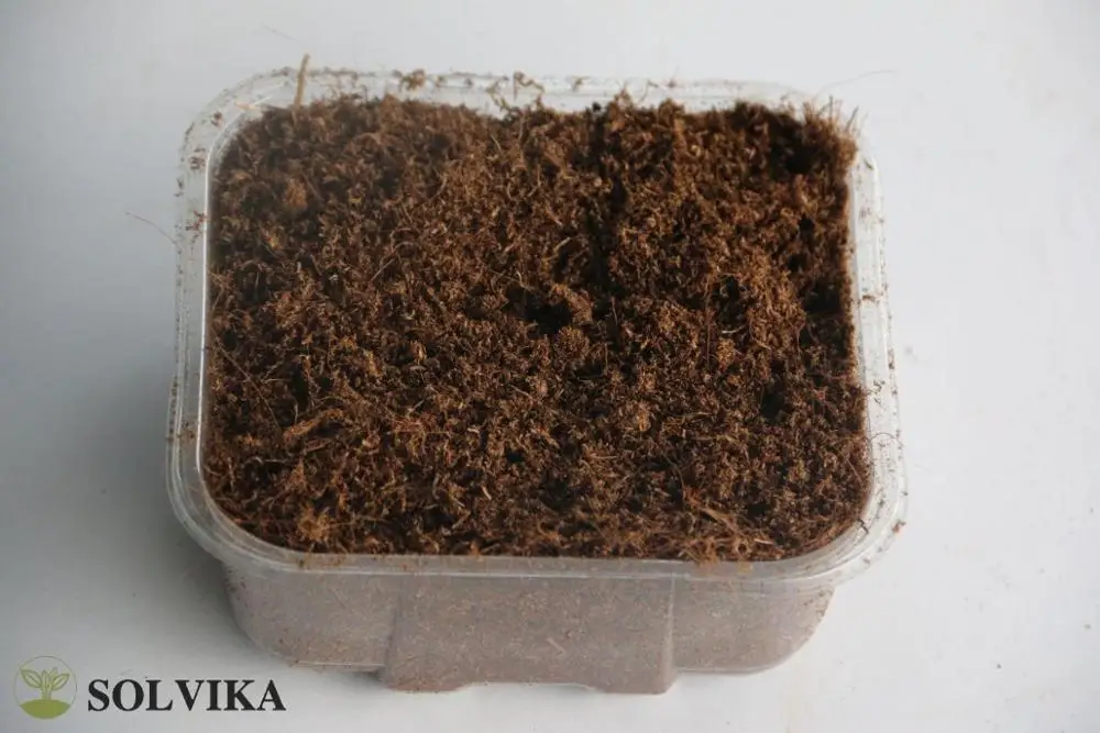 Sphagnum Peat