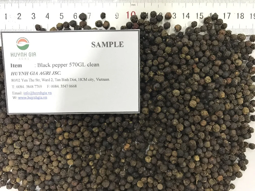 Vietnam Manufacturer High Quality Raw Processing Clean Dried Black Pepper 570 GL With 2 Years Shelf Life
