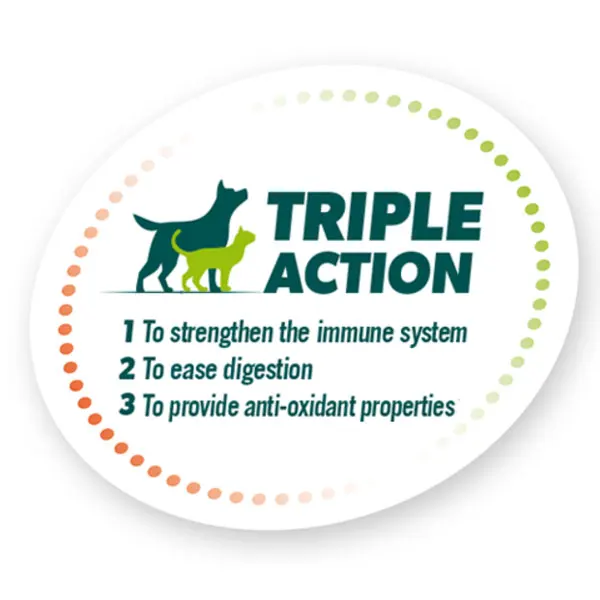 
Dry dog premium food Avantis Pet Gourmet with pork, chicken and lamb 