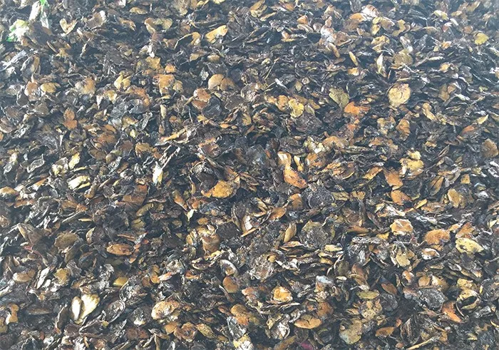 Crude Cashew Nut Shell Liquid Oil From Vietnam With Ideal Price