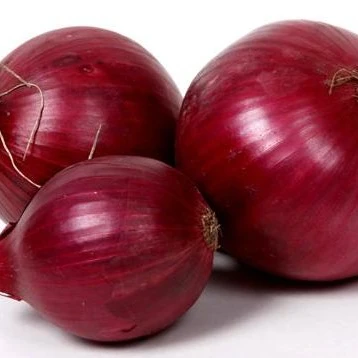 fresh red/rose indian onion