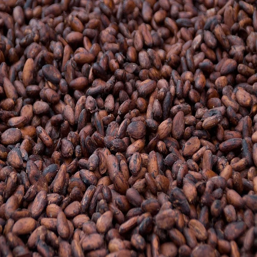 Organic Cocoa (Cacao) Beans/Nibs/Butter/Liquor/Powder