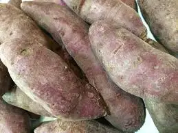 
Viet Nam Sweet Potato/ Purple Sweet Potato whatsapp 84 845 639 639 