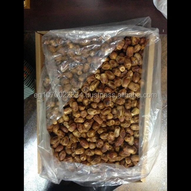 egypt dates SEMI DRY PRICE 20222