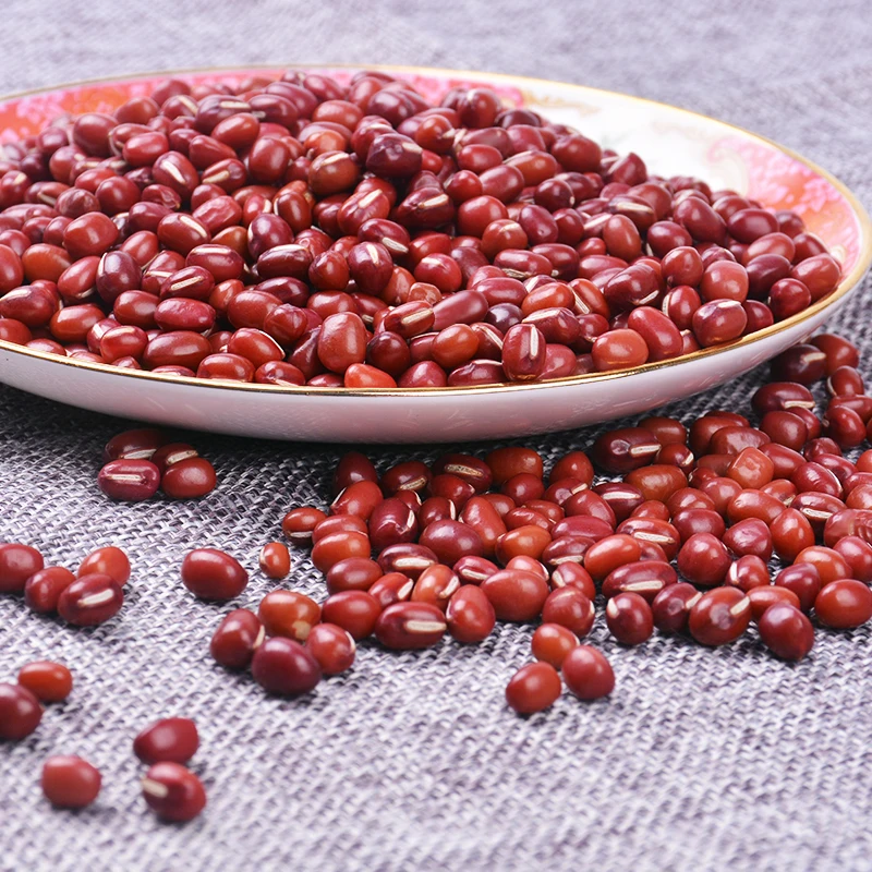 
High Quality New Crop 5.0mm up Small Dried Red Mung Bean 