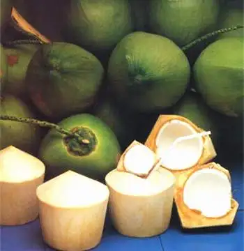FRESH YOUNG COCONUT VIETNAM (CHEAP PRICE AND HIGH QUALITY)/ Vivan Ha +84 33 882 0 462