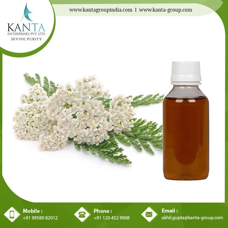 Private Label OEM / ODM Supply 100% Original Yarrow Essential Oil Buy at Wholesale Price