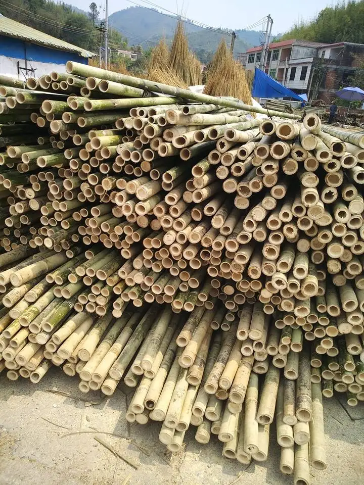 
bamboo stick stake for flower nursery plant support 