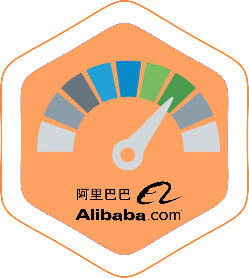 Web Design &