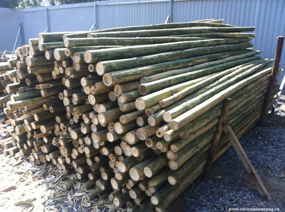 NATURAL ECO- FRIENDLY HIGH QUALITY BAMBOO POLES + Whatsapp +84-845-639-639