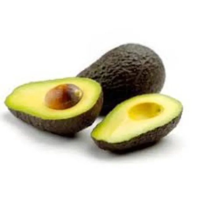 Manufacture Wholesale Price Natural Avocado Oil Exports for Hair Growth from India