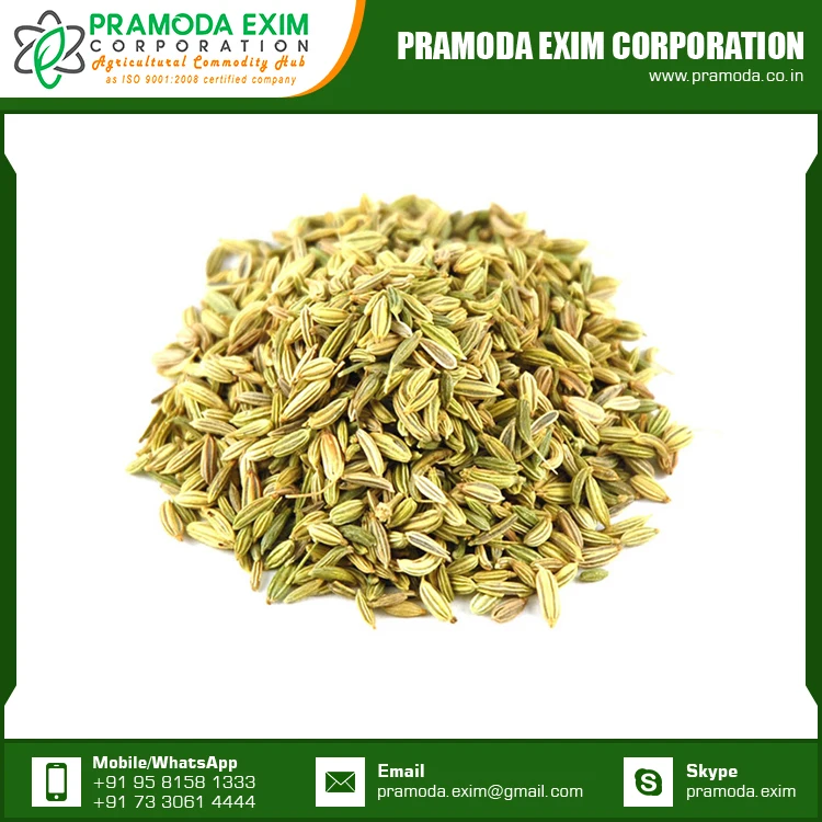 New Season Organic Fennel Seed Natural Fennel Single Spices & Herbs From India