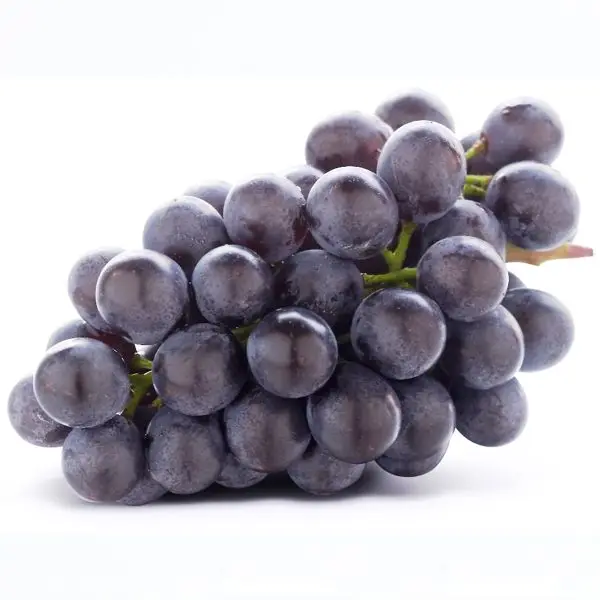 
Fresh Grape 