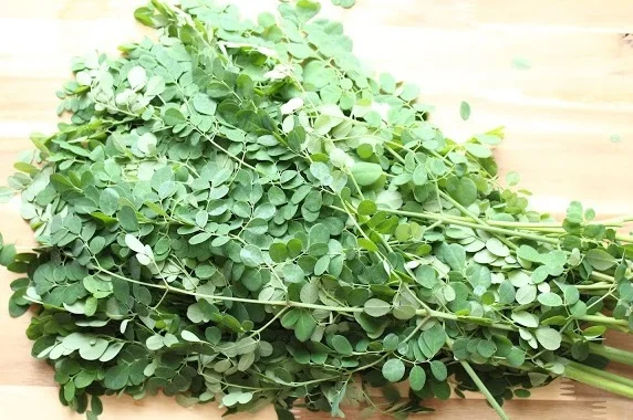 
Moringa dried leaves/moringa leaves/Horseradish treein Viet Nam 