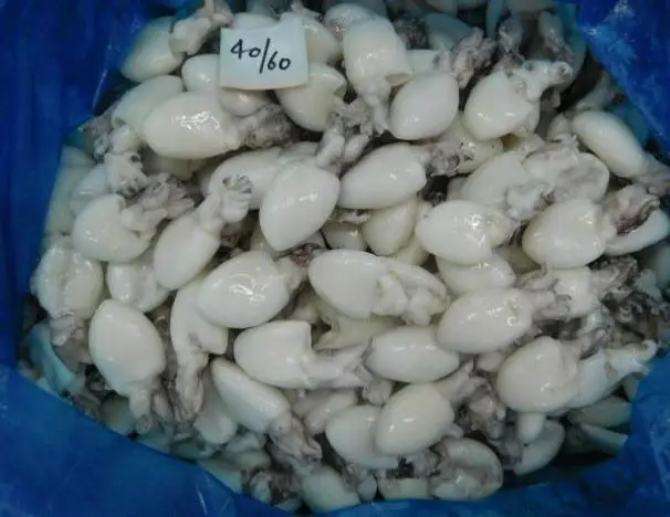 high quality frozen/dried cuttlefish