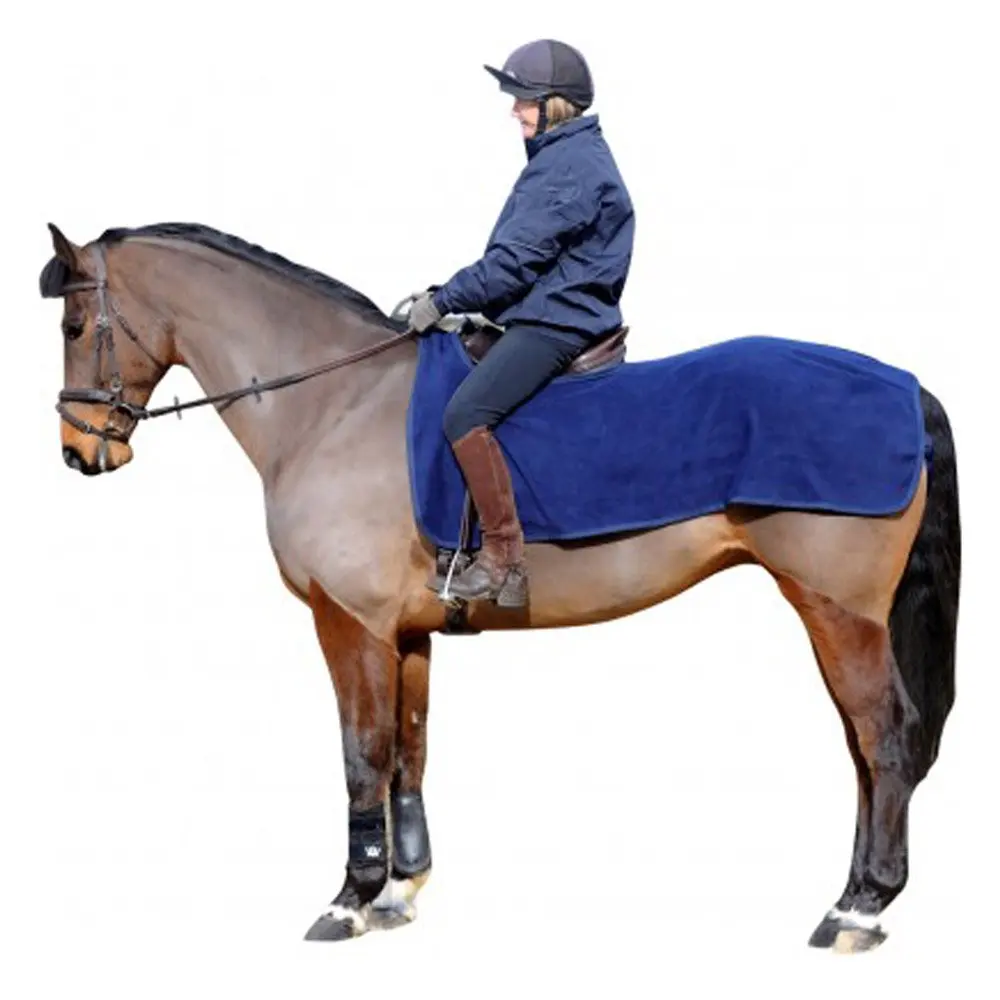 Best Selling Horse Exercise Sheet at Reasonable Rate