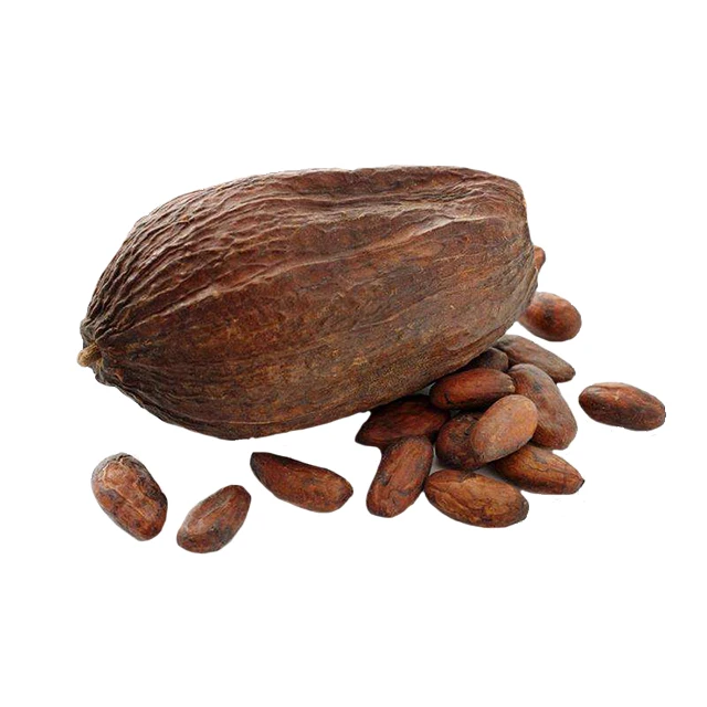 
High Quality, Low Cost And High Quality Cocoa Beans From Peru 