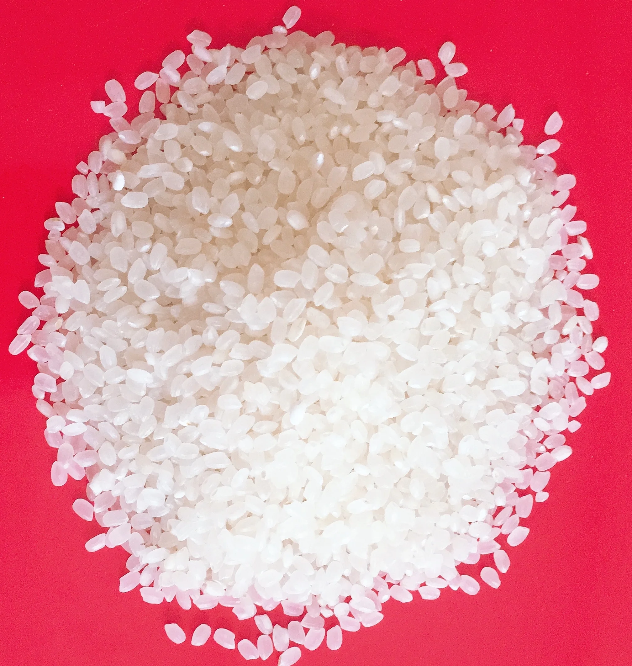 BEST PRICE 2021 PREMIUM VIETNAM JAPONICA RICE CELL: 84 901 390 588/ whatsApp
