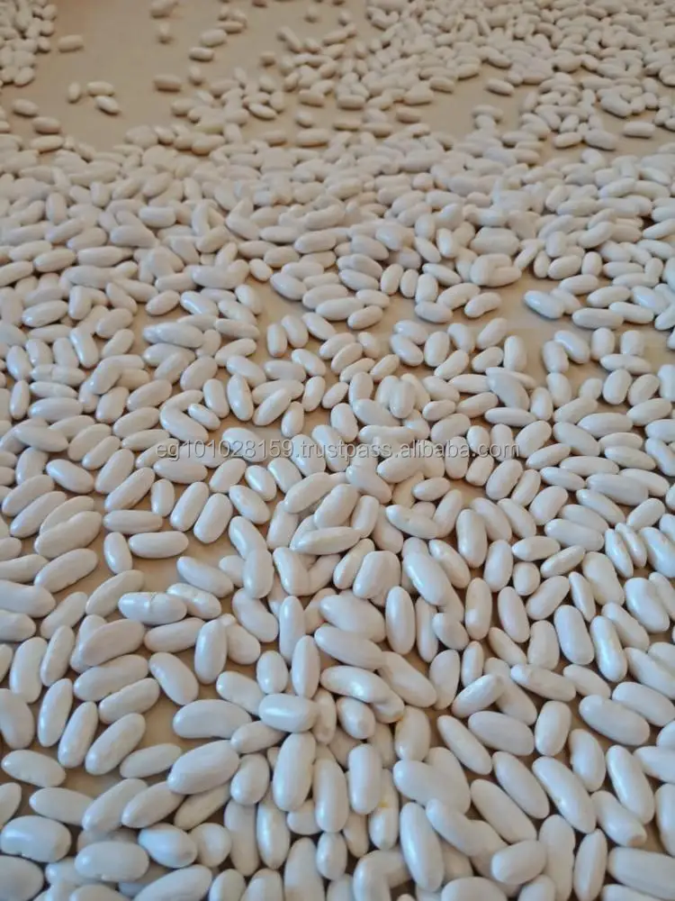 
Egyptian white kidney beans 