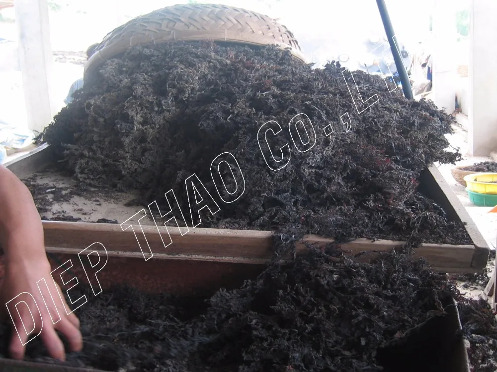 
DRIED SARGASSUM SEAWEED 
