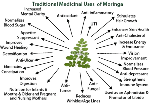 
Dietary supplements moringa tablets 500 mg Private Label Anti-oxidant Bulk Wholesale Organic. 