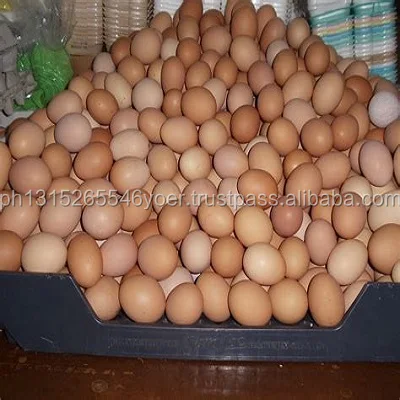White and Brown Chicken Eggs, Fresh Table Eggs