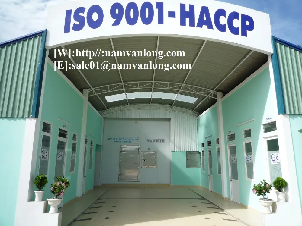 
TOP QUALITY! OFFER FRESH RI6 DURIAN FRUIT WITH HIGH QUALITY AND BEST PRICE 