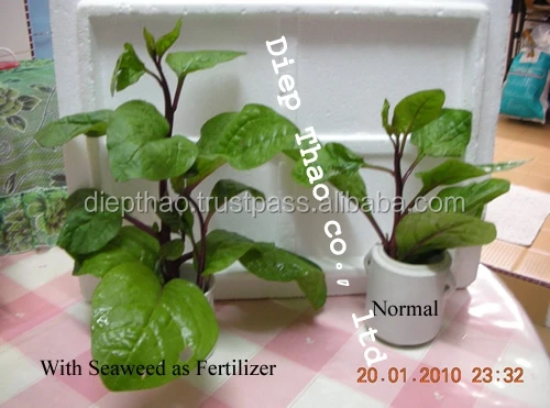 
Organic Fertilizer - Ulva seaweed powder 