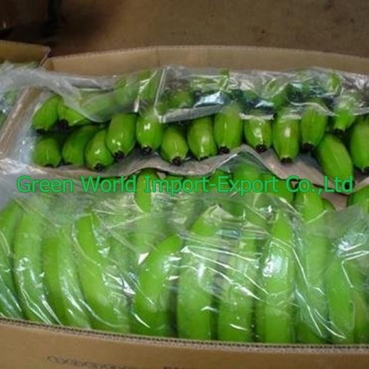 BEST SELLER_CAVENDISH BANANA, PREMIUM QUALITY WITH GOOD PRICE