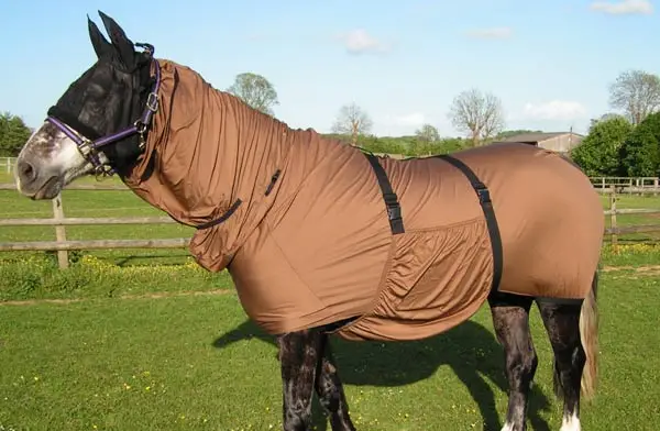 Лошади сладкого зуда ковры, лошадь, экзема сладкого зуда полное покрытие защита лошади летают ковры/лист, лошадь, exima ковры против зуда для ухода за ковры