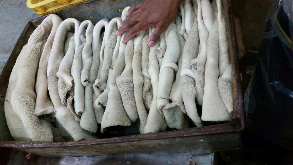 Beef Meat tripe Supplier from Pakistan High Quality Fully Boiled