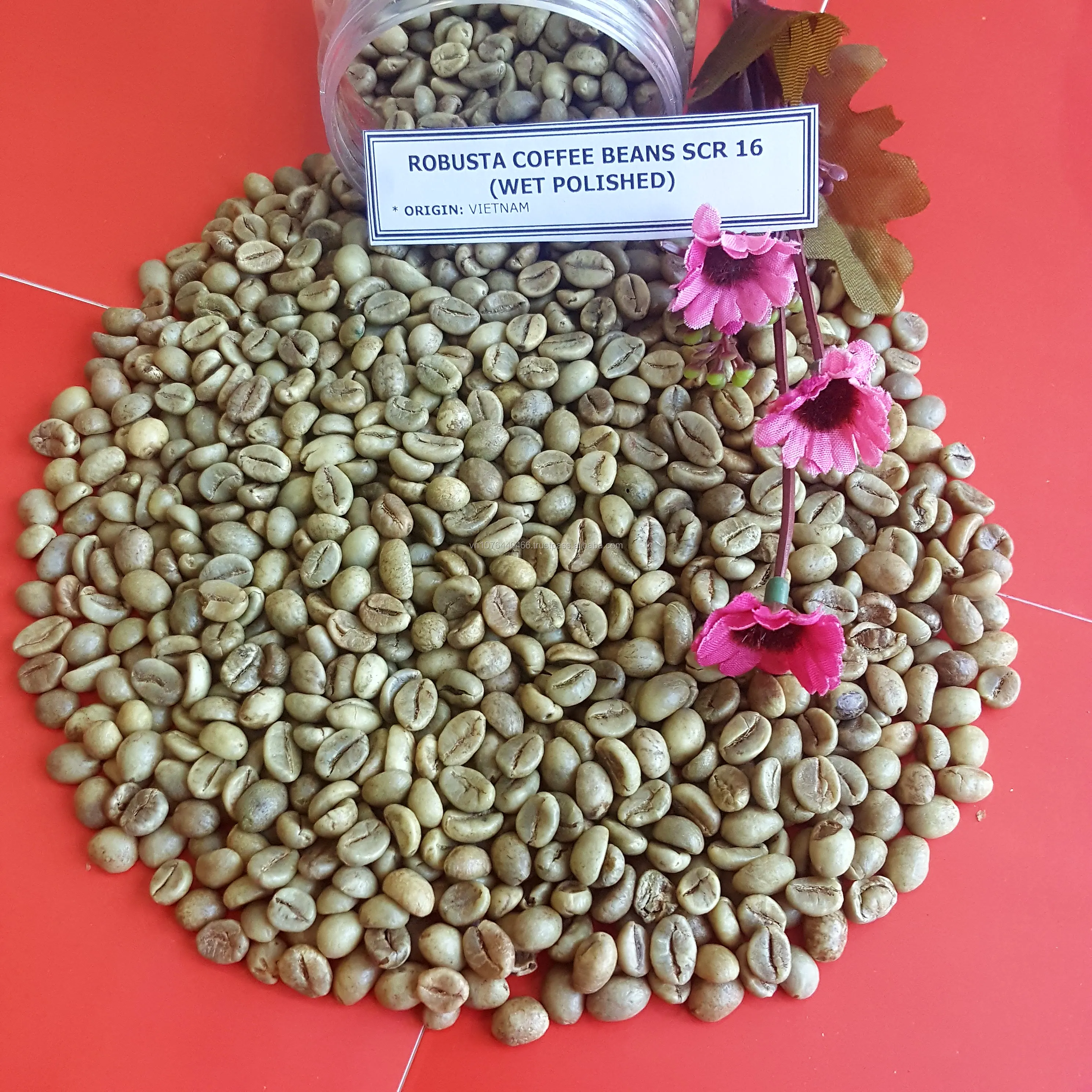 
VIETNAM HIGH QUALITY ARABICA GREEN COFFEE BEANS GOOD PRICE SCR13/ SCR16/ SCR18( +84989322607 whatsapp) 