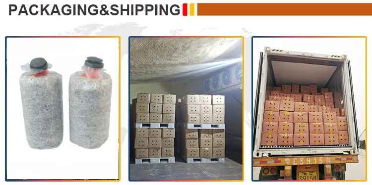 
Farm Organic Fruitwood Grey Oyster Mushroom Seeds for Oyster Mushroom Cultivation Export Price 