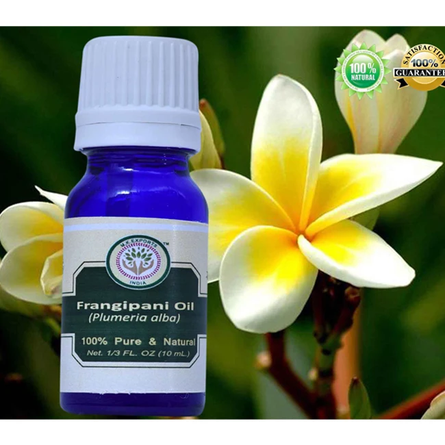 FRANGIPANI ABSOLUTE OIL - SOLVENT EXTRACTED