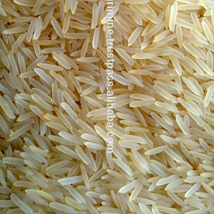 
Golden Basmati rice exporters 
