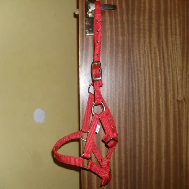 Wholesale High Quality Horse nylon halter 2018  Hot selling Unique Horse nylon halter for horses Pp Tape Nylon Halter