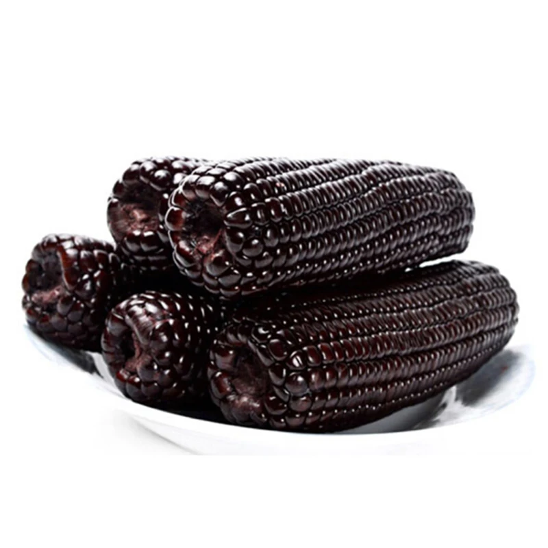 Purple Corn powder from Peru