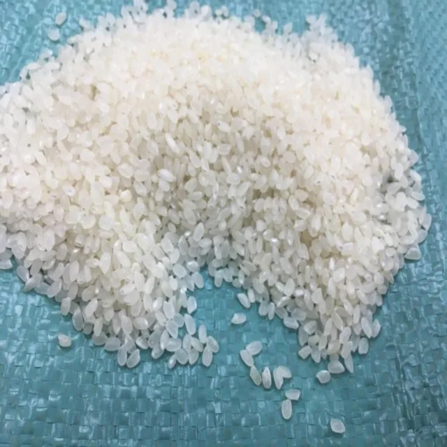 
5% BROKEN JAPONICA RICE WITH WORKABLE PRICE 