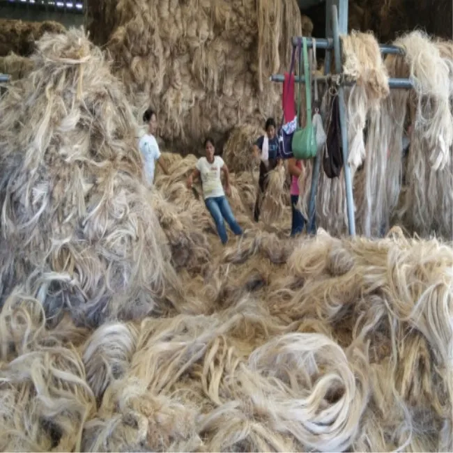 I grade philippine abaca hemp yarn abaca fiber raw nature fiber for abaca paper pulp material handmade paper