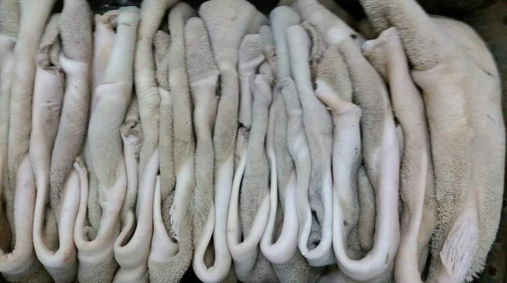 For Sell Frozen Beef Tripe Wholesale, Beef Tripe Suppliers