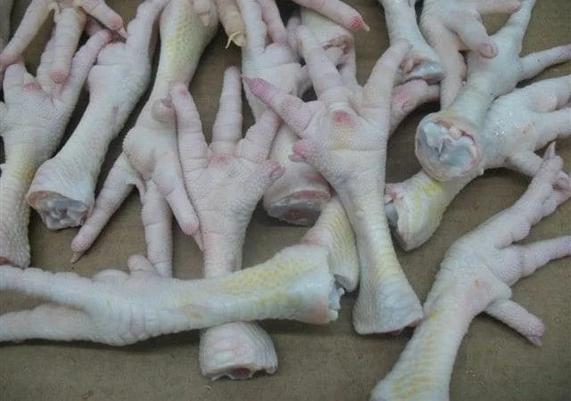 Turkish  Halal Frozen Whole Chicken