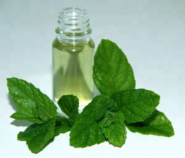Organic Food Grade 100% Pure & Natural  Mentha Piperita Peppermint Essential Oil
