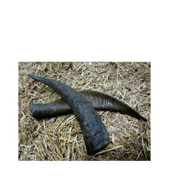 Новый дизайн, декоративный черный козий гудок