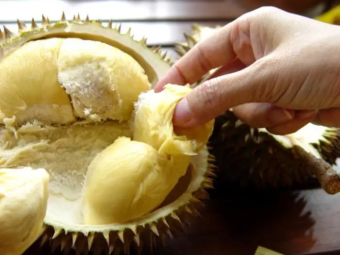 
FROZEN DURIAN WITH BEST PRICE AND HIGH GRADE 
