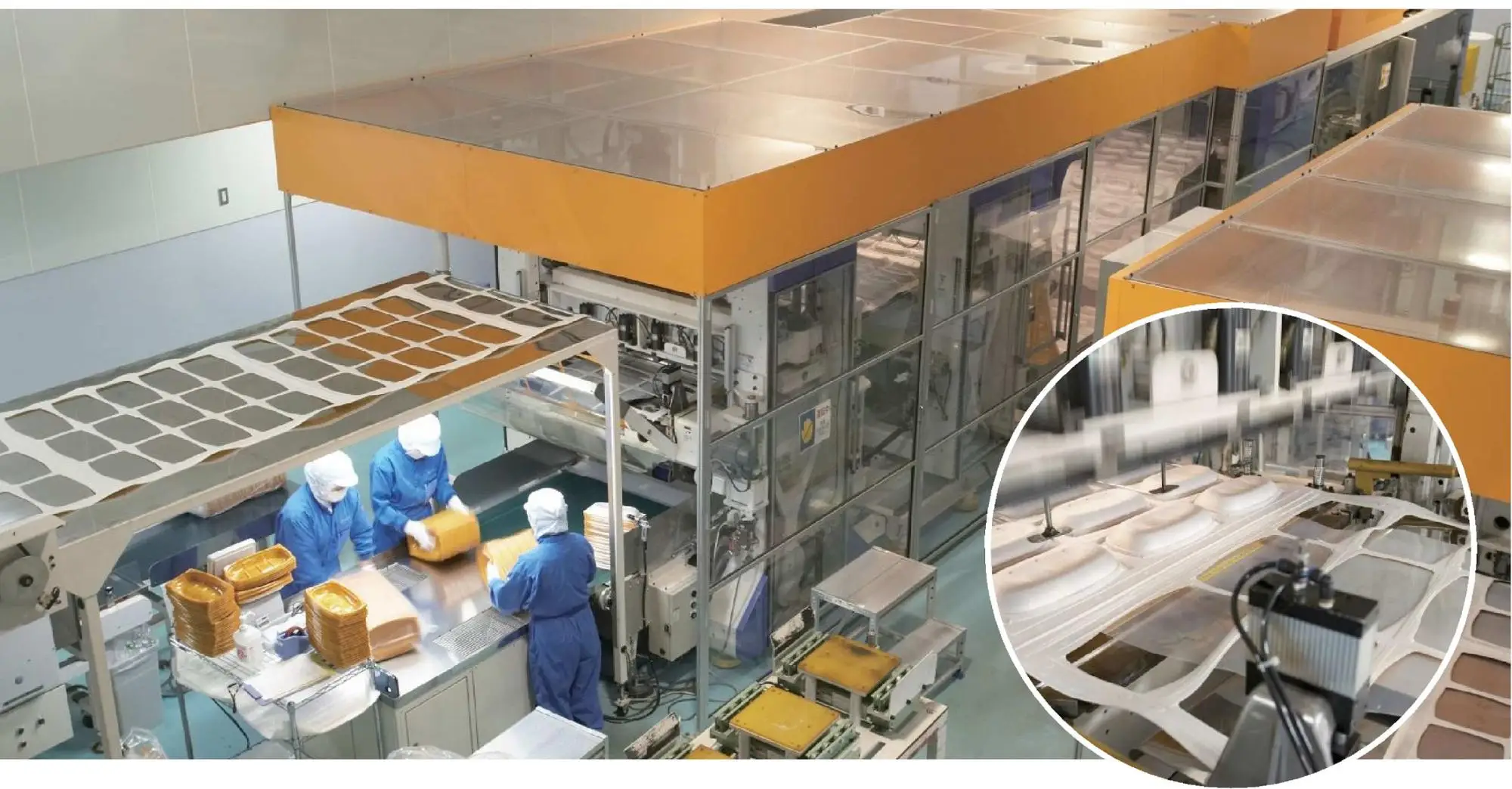 disposable lunch box