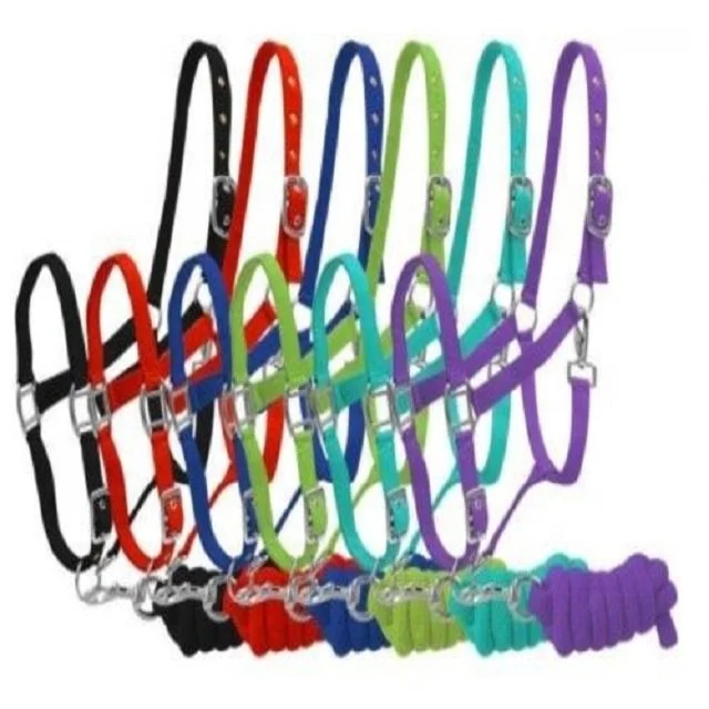 Желтая нейлоновая кошачья лямка с молитвенным ковбойским покрытием! NEW HORSE TACK