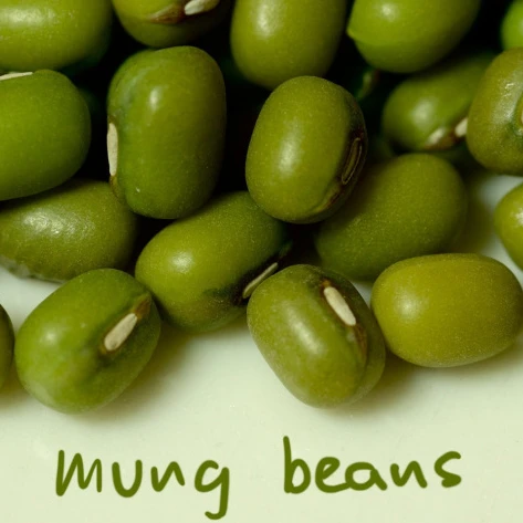 DRIED STYLE GREEN GRAM/GREEN MUNG BEANS